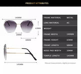 Studded Rim Sunglasses
